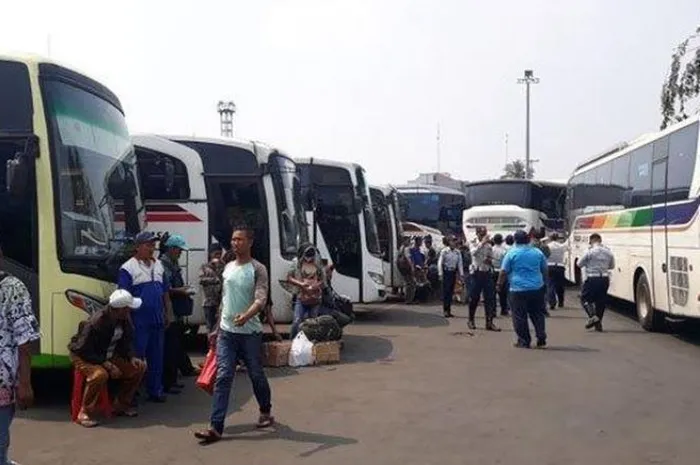 Lebaran Masih Lama, Kemenhub Siapkan 70 Bus Mudik Gratis, Ini Cara Daftarnya